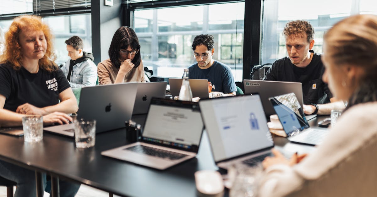 支付宝认证资料：宾阳宠物购买平台