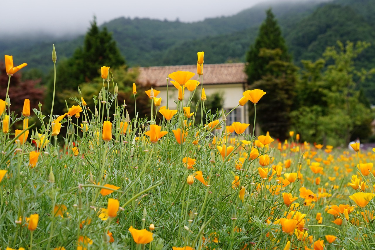 酷信170实名账号：莲塘工商注册代理