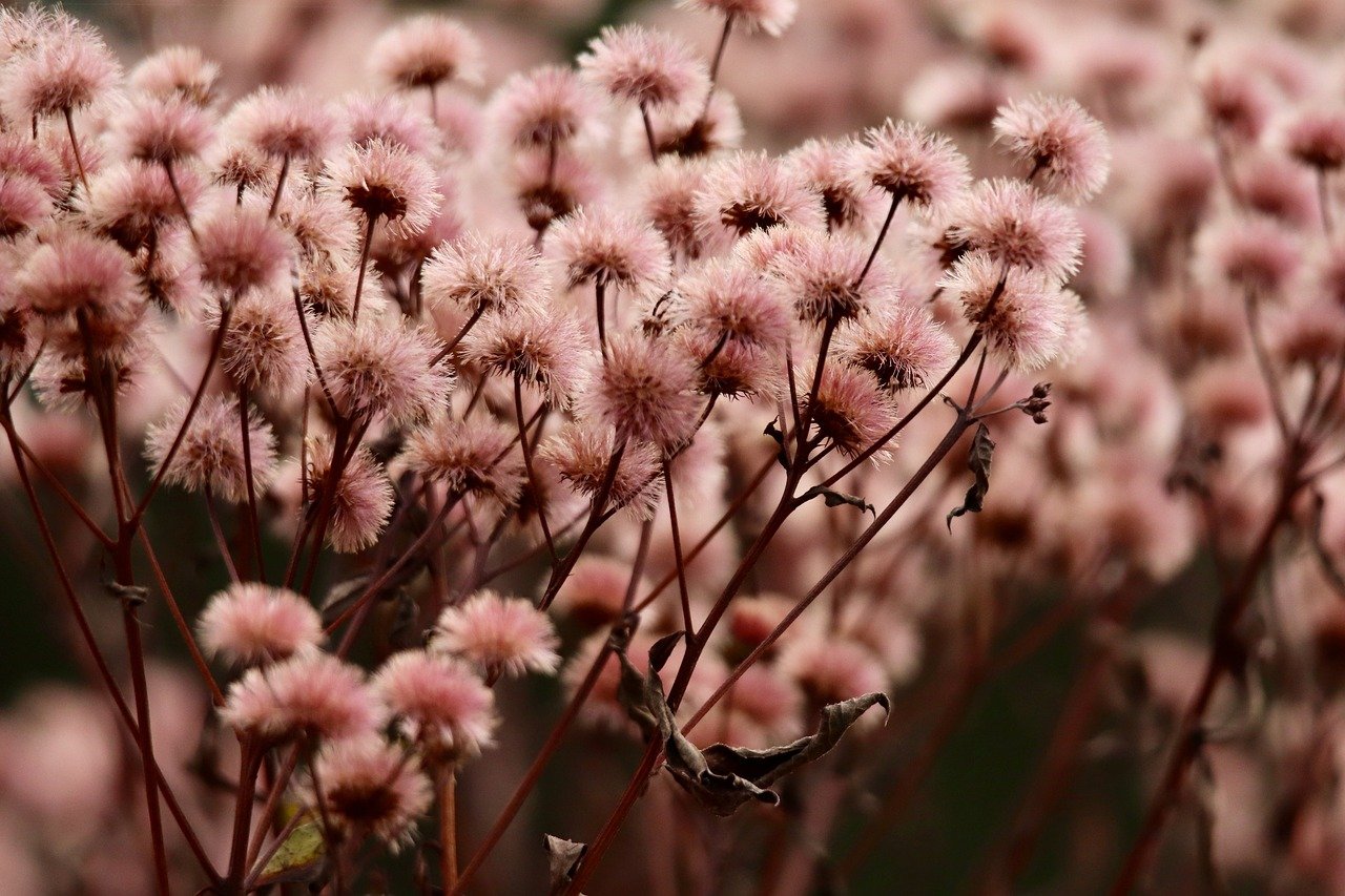 DDOS在线攻击平台|如何详情下载教程老版本的app